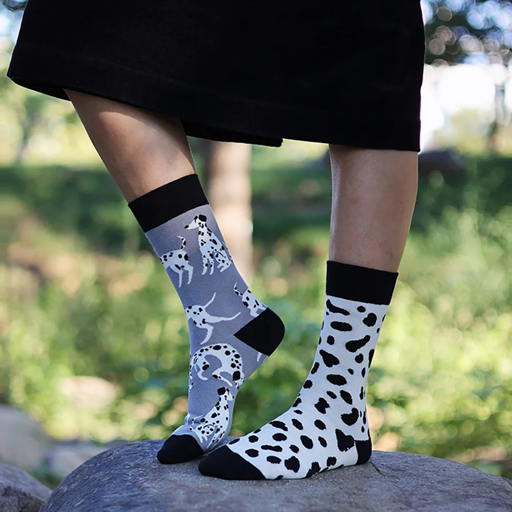 Calzini Fantasia Buffa – stocksocks™